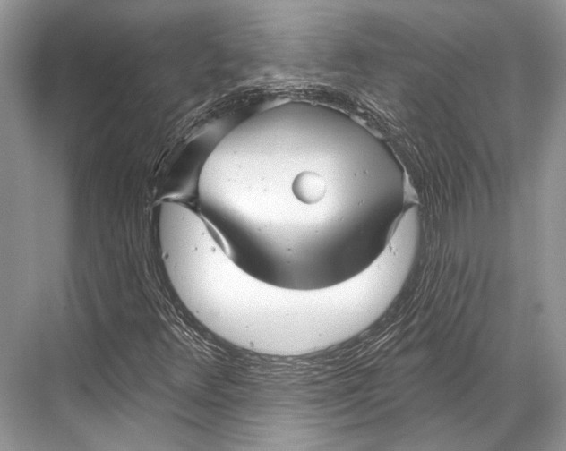 X0000067841348200605041639