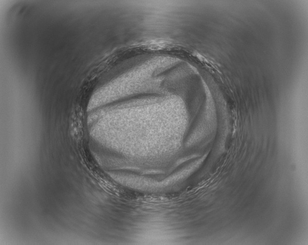 X0000067841349200605041639