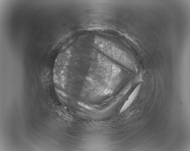 X0000067841351200605041639