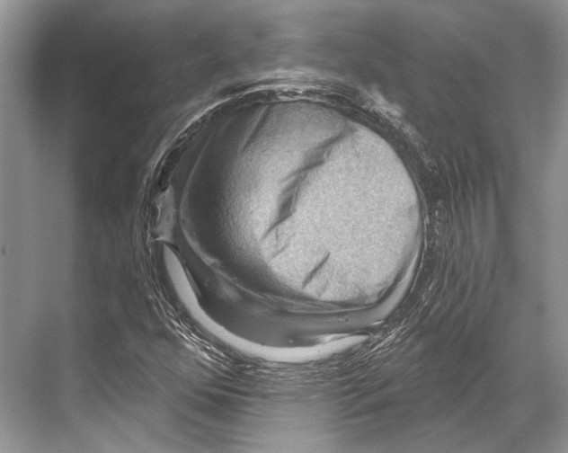 X0000067841352200605041639