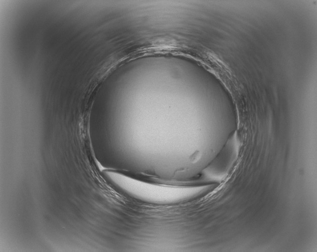 X0000067841353200605041639