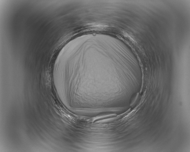 X0000067841354200605041638