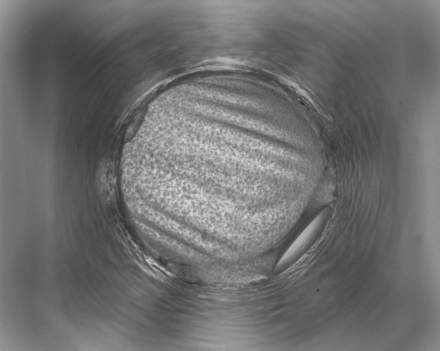 X0000067841355200605041638