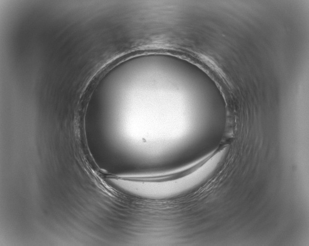 X0000067841356200605041638