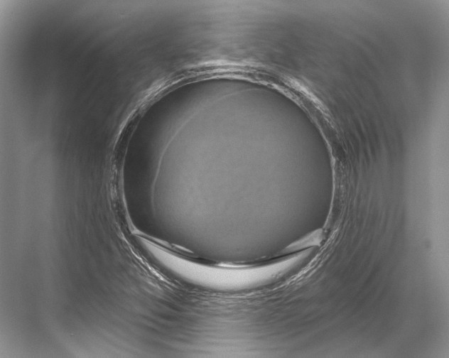 X0000067841357200605041638