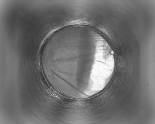 X0000067841358200605041638