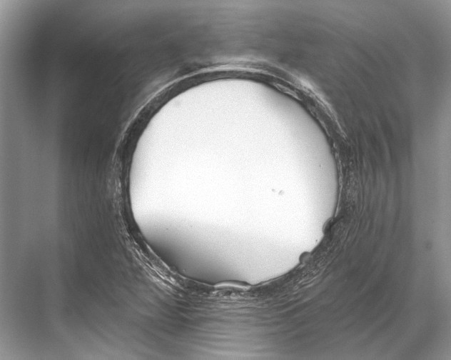 X0000067841360200605041638