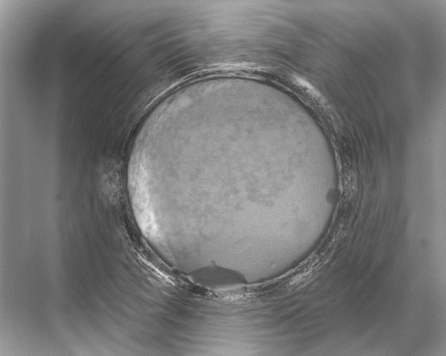 X0000067841361200605041638