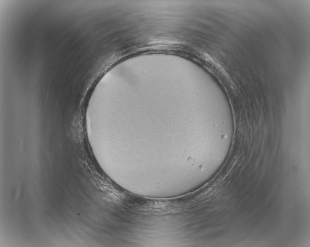 X0000067841362200605041638