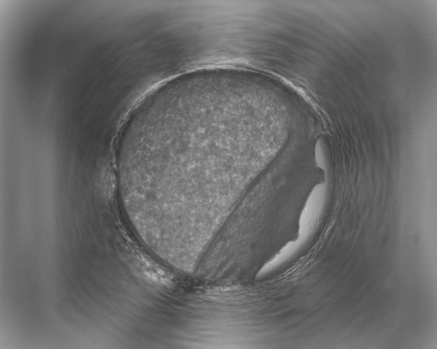 X0000067841363200605041638