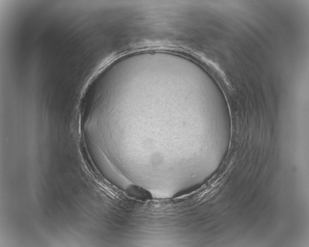 X0000067841365200605041638