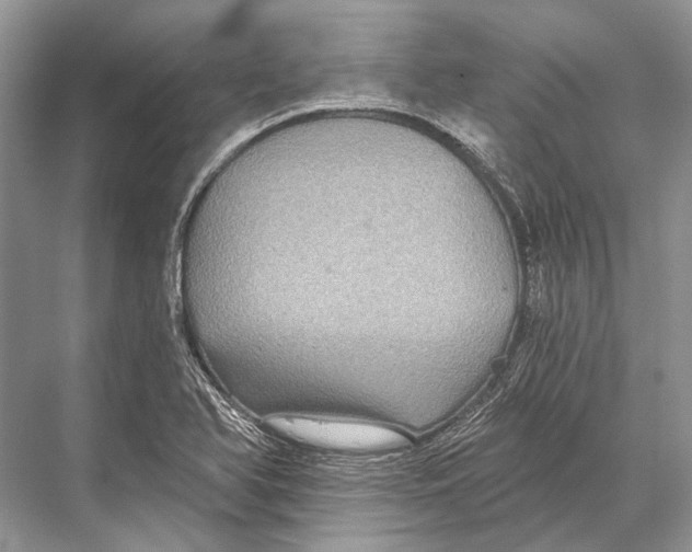 X0000067841366200605041638