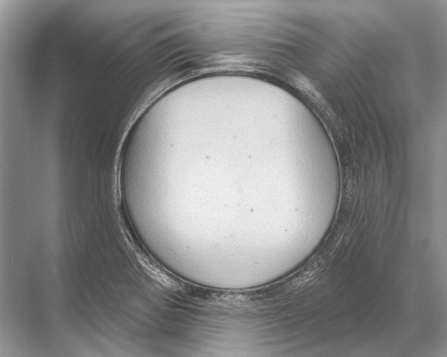 X0000067841370200605041638