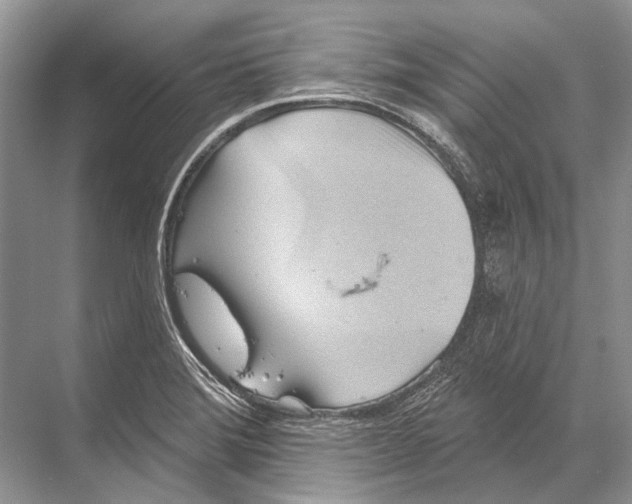 X0000067841372200605041638