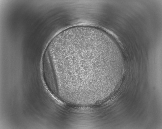 X0000067841375200605041638