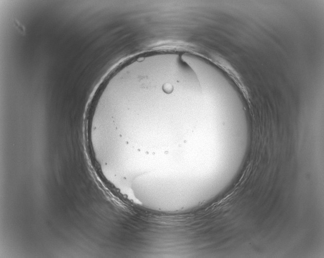 X0000067841376200605041638