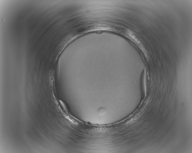 X0000067841377200605041638