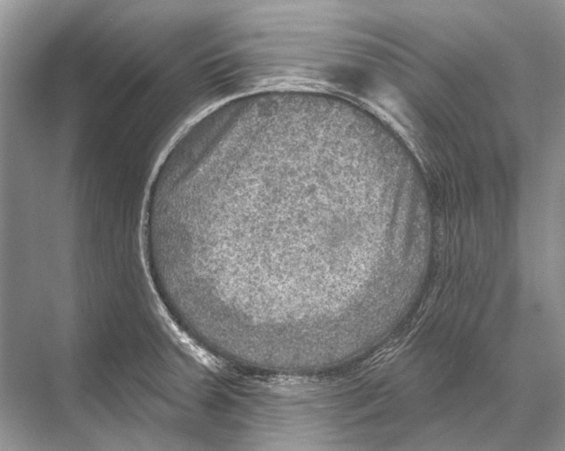 X0000067841379200605041638