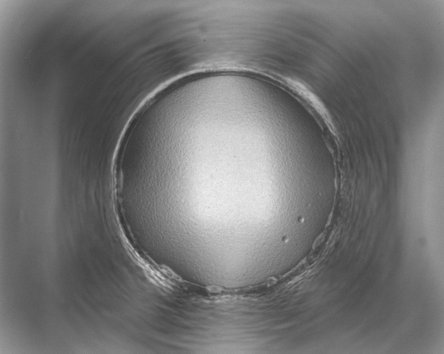 X0000067841380200605041638