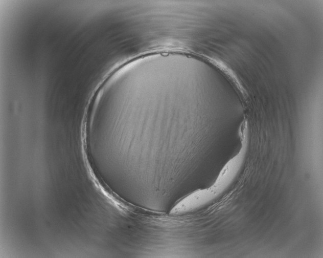 X0000067841383200605041638