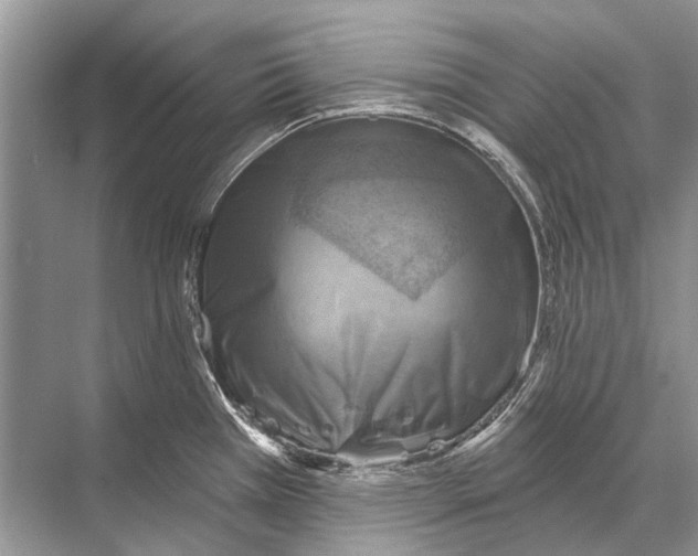 X0000067841385200605041638