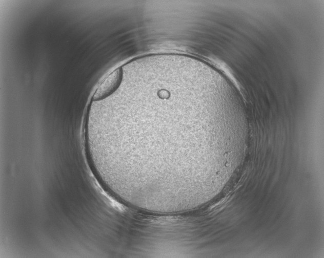 X0000067841387200605041638