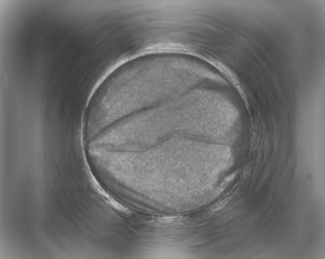 X0000067841390200605041638