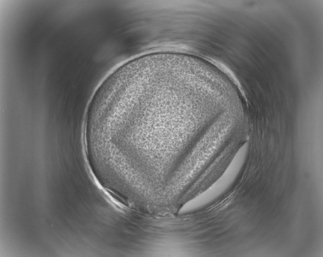 X0000067841391200605041638