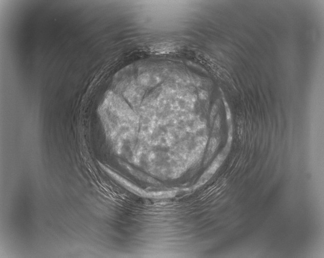 X0000067841393200605041637