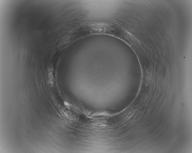 X0000067841394200605041637