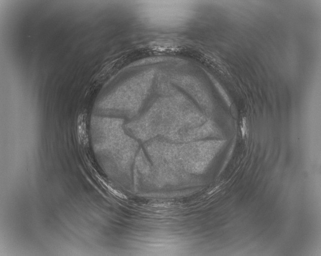 X0000067841396200605041637