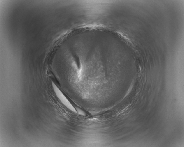 X0000067841398200605041637