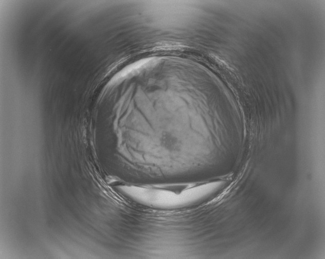 X0000067841401200605041637