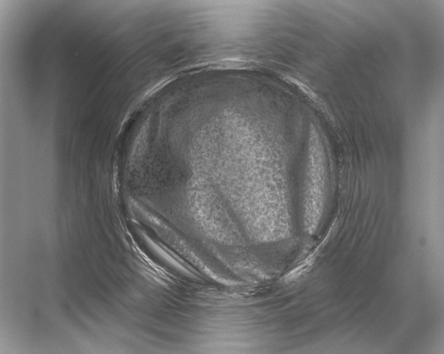 X0000067841402200605041637