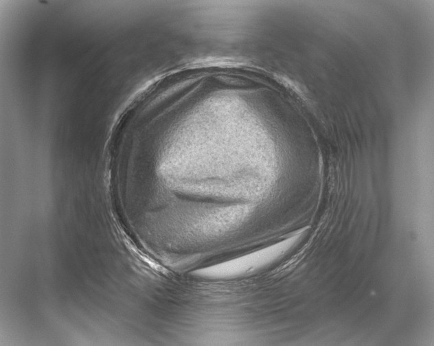 X0000067841406200605041637