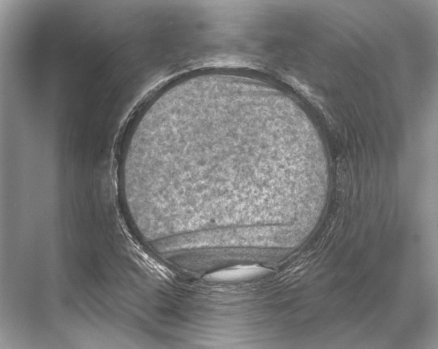 X0000067841408200605041637