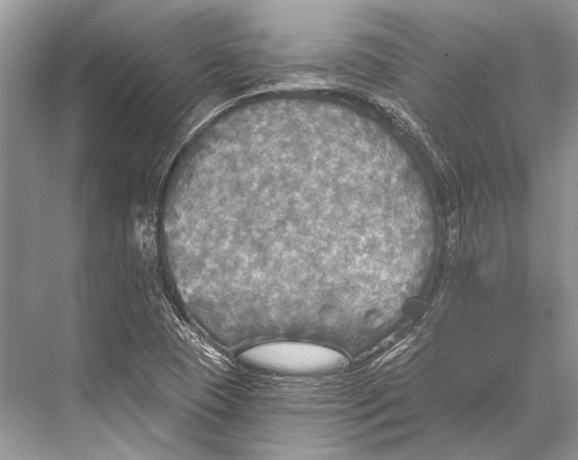 X0000067841409200605041637