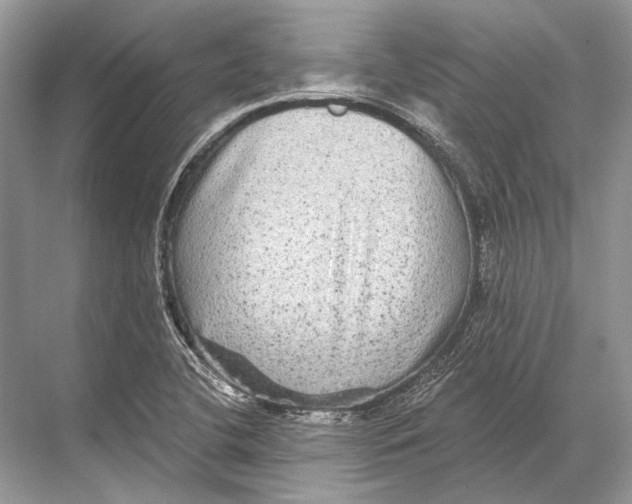 X0000067841412200605041637