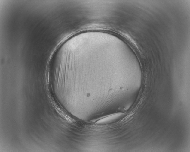 X0000067841413200605041637