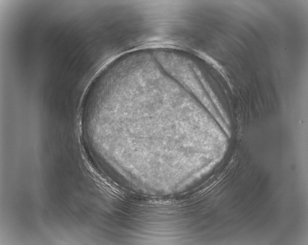 X0000067841415200605041637