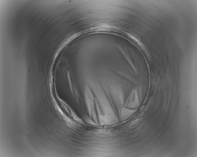 X0000067841418200605041637