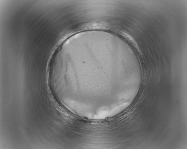 X0000067841419200605041637