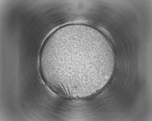 X0000067841420200605041637