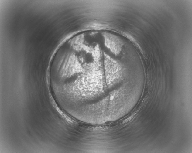 X0000067841421200605041638