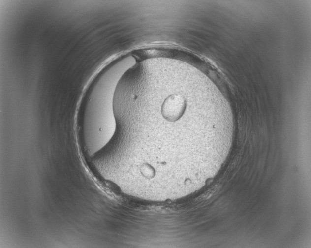 X0000067841422200605041638