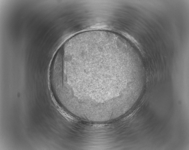 X0000067841423200605041638