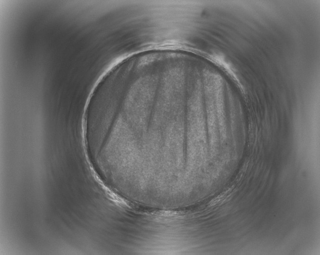 X0000067841424200605041638