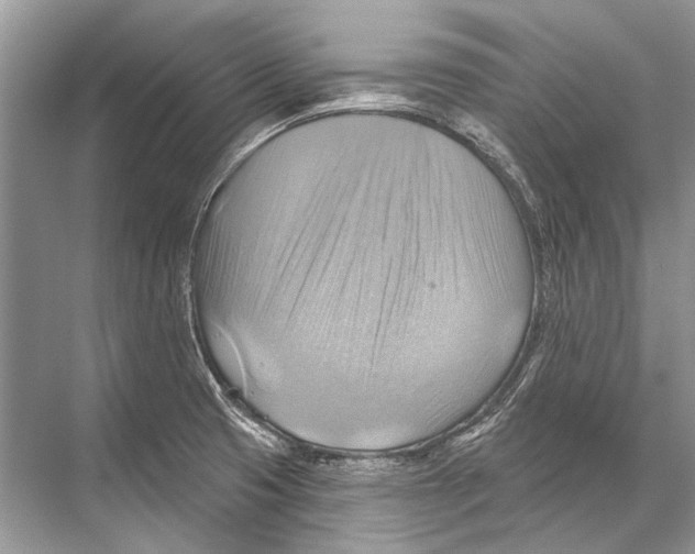 X0000067841425200605041638