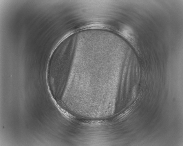 X0000067841426200605041638