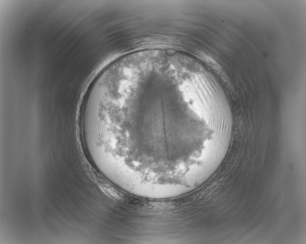 X0000067841427200605041638